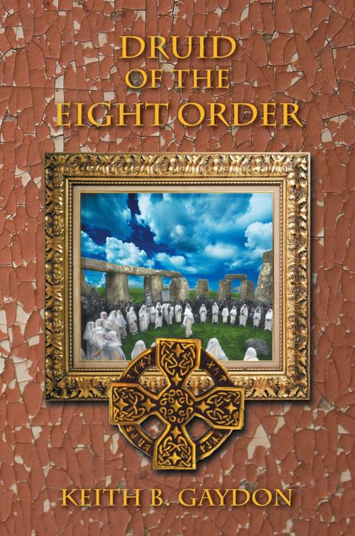 Cover of the book Druid of the Eight Order by keith b gaydon, Xlibris US