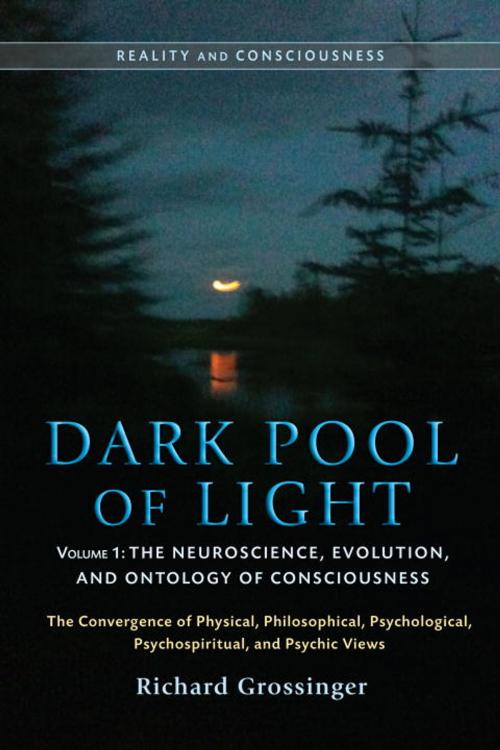 Cover of the book Dark Pool of Light, Volume One by Richard Grossinger, North Atlantic Books
