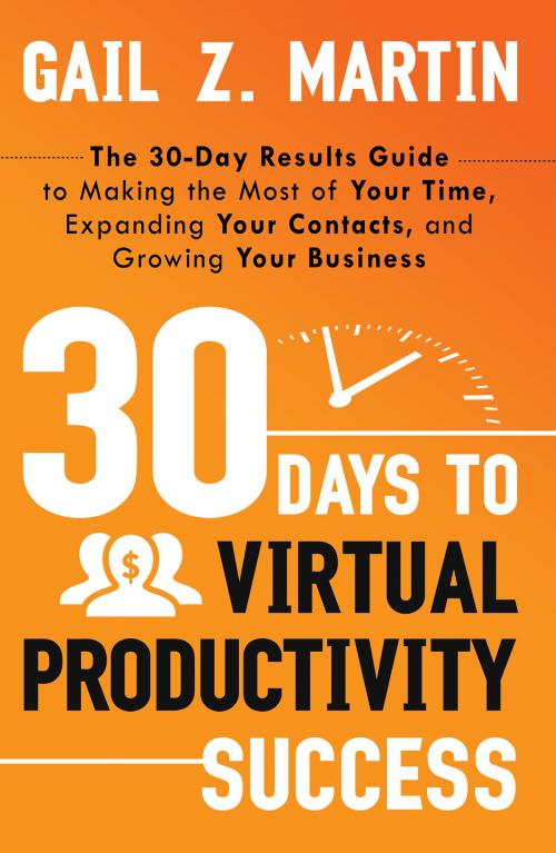 Cover of the book 30 Days to Virtual Productivity Success by Gail Martin, Red Wheel Weiser