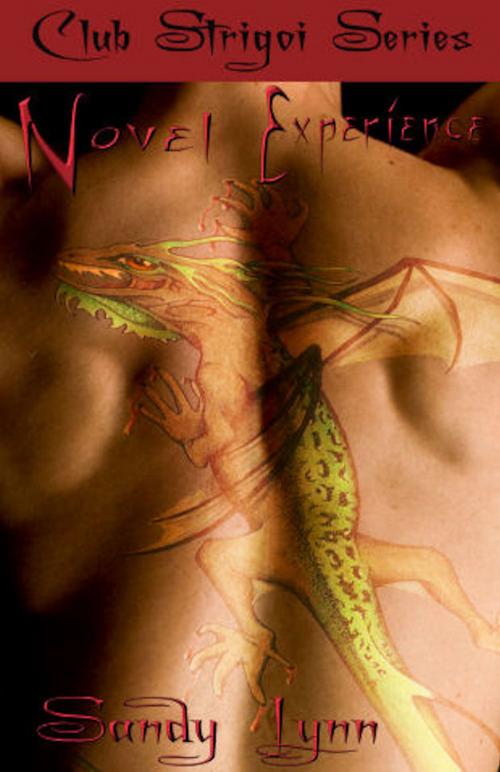 Cover of the book Novel Experience by Sandy Lynn, Mojocastle Press LLC