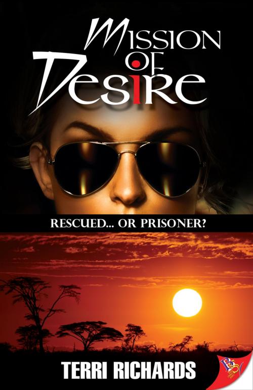Cover of the book Mission of Desire by Terri Richards, Bold Strokes Books, Inc.