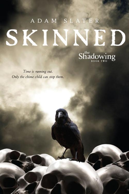 Cover of the book Skinned by Adam Slater, Lerner Publishing Group