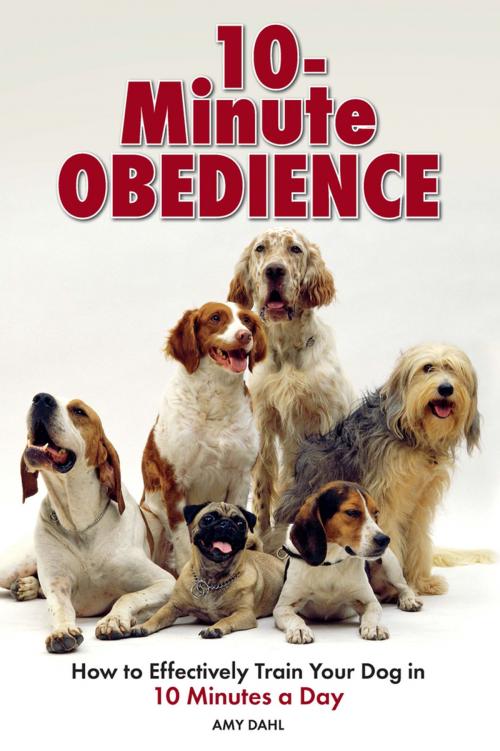 Cover of the book 10 Minute Obedience by Amy Dahl, Willow Creek Press, Inc.