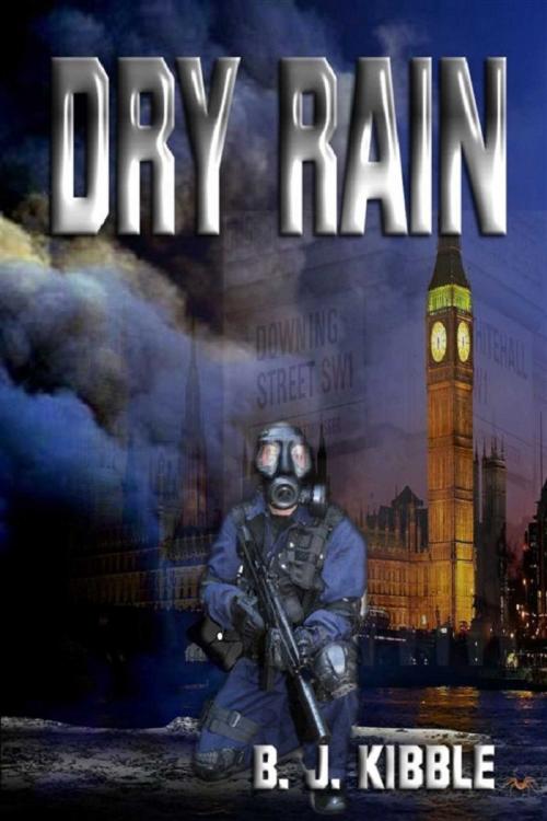 Cover of the book Dry Rain by B J Kibble, Whiskey Creek Press