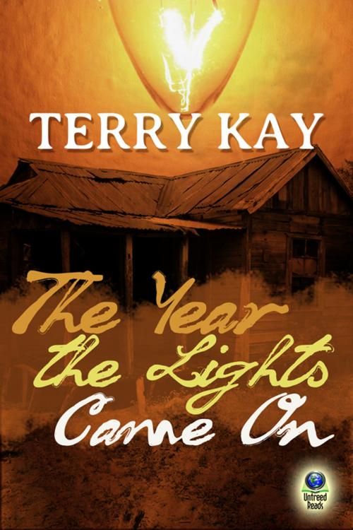 Cover of the book The Year the Lights Came On by Terry Kay, Untreed Reads