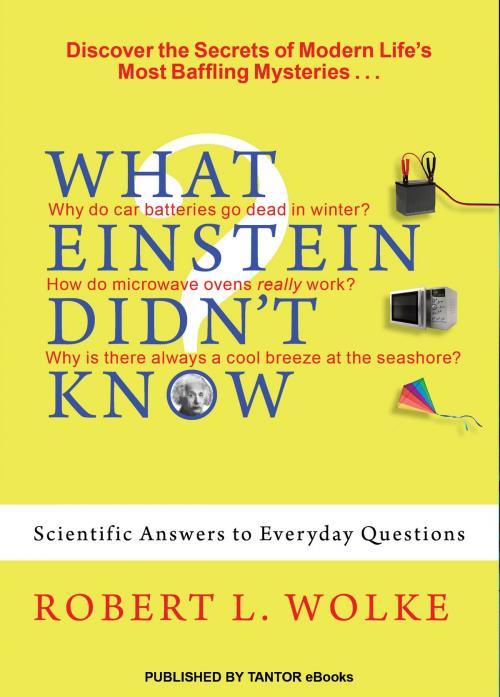Cover of the book What Einstein Didn't Know: Scientific Answers to Everyday Questions by Robert L. Wolke, Tantor eBooks