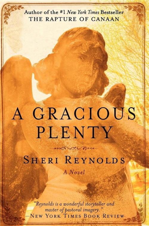 Cover of the book A Gracious Plenty by Sheri Reynolds, Turner Publishing Company