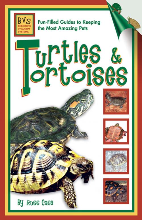 Cover of the book Turtles & Tortoises by Russ Case, CompanionHouse Books