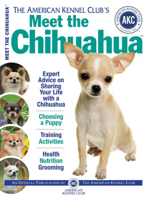 Cover of the book Meet the Chihuahua by American Kennel Club, CompanionHouse Books