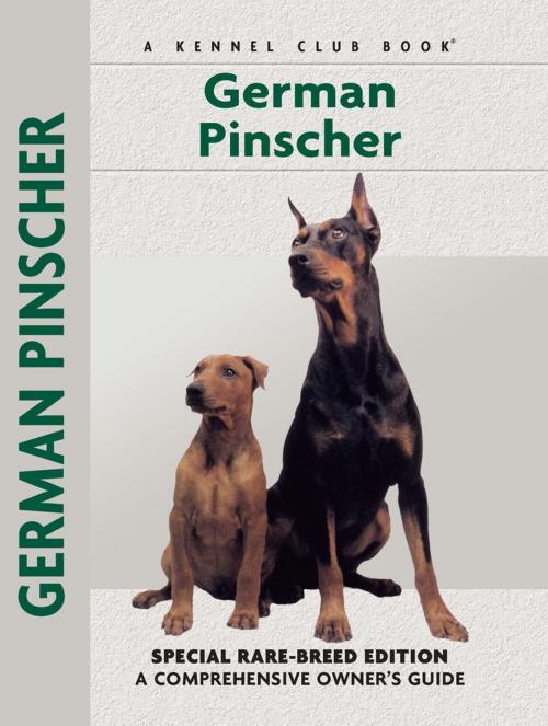 Cover of the book German Pinscher by Sharon Morgan, Dee Gannon, CompanionHouse Books