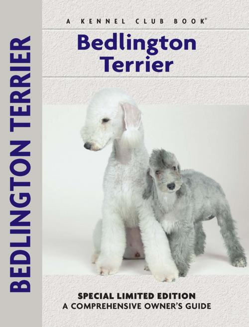 Cover of the book Bedlington Terrier by Muriel P. Lee, CompanionHouse Books