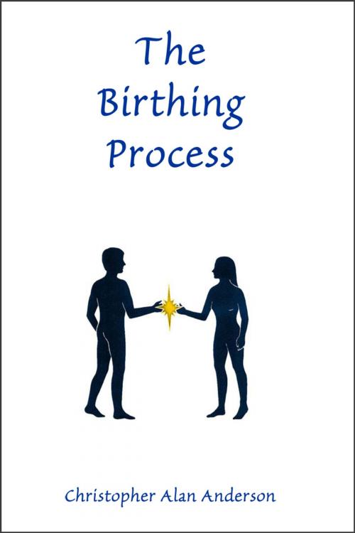 Cover of the book The Birthing Process by Christopher Alan Anderson, First Edition Design Publishing