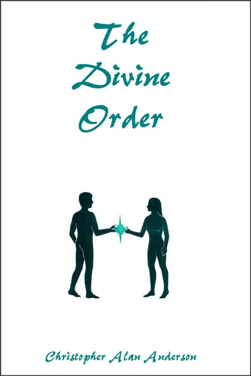 Cover of the book The Divine Order by Christopher Alan Anderson, First Edition Design Publishing