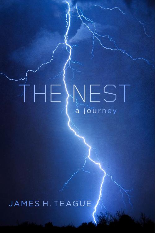 Cover of the book The Nest by James H. Teague, BookBaby