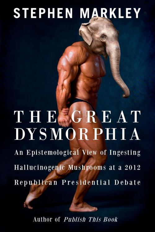 Cover of the book The Great Dysmorphia by Stephen Markley, BookBaby