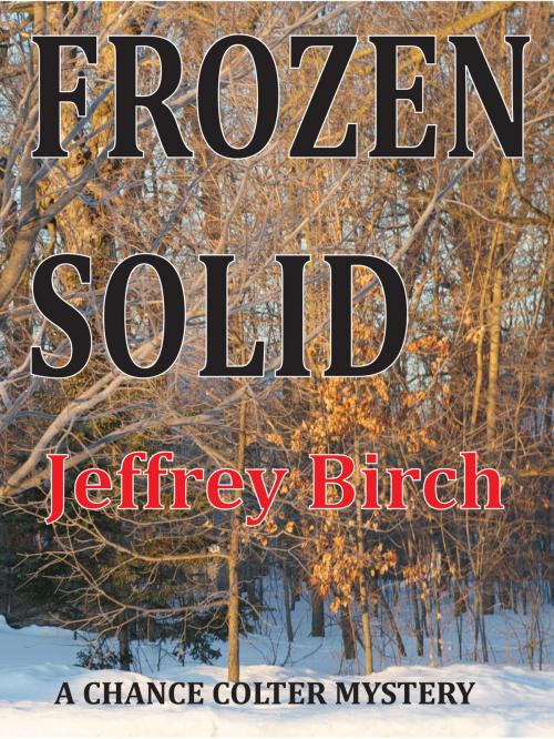 Cover of the book Frozen Solid by Jeffrey Birch, BookBaby