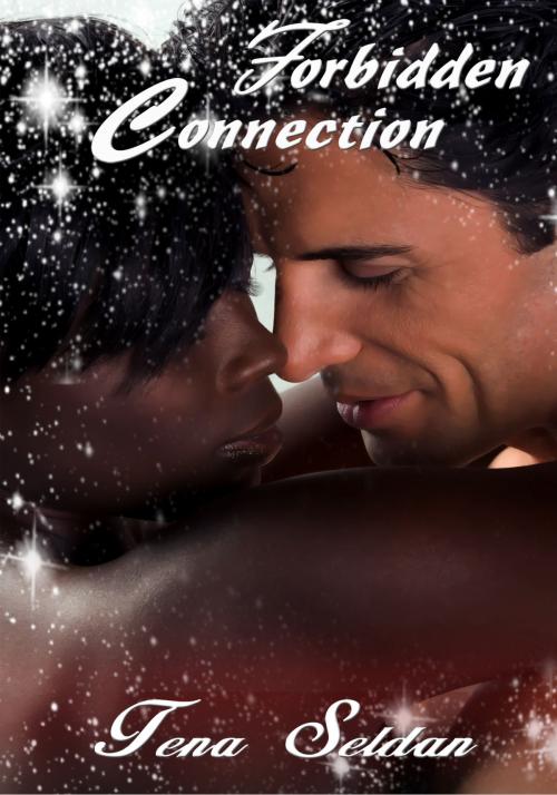 Cover of the book Forbidden Connection by Tena Seldan, Xplicit Press