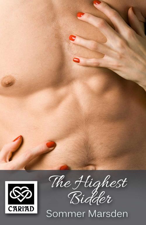 Cover of the book The Highest Bidder by Sommer Marsden, Accent Press