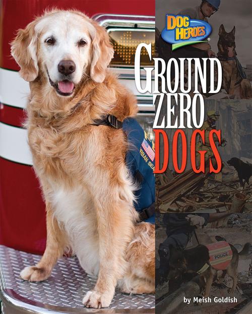 Cover of the book Ground Zero Dogs by Meish Goldish, Bearport Publishing