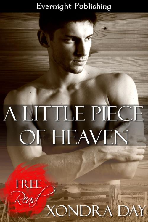 Cover of the book A Little Piece of Heaven by Xondra Day, Evernight Publishing