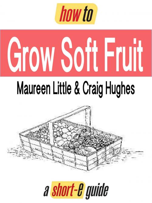 Cover of the book How to Grow Soft Fruit (Short-e Guide) by Maureen Little, Craig Hughes, How To Books Ltd