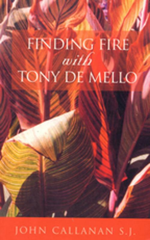 Cover of the book Finding Fire With Tony De Mello by Fr John Callanan, Mercier Press