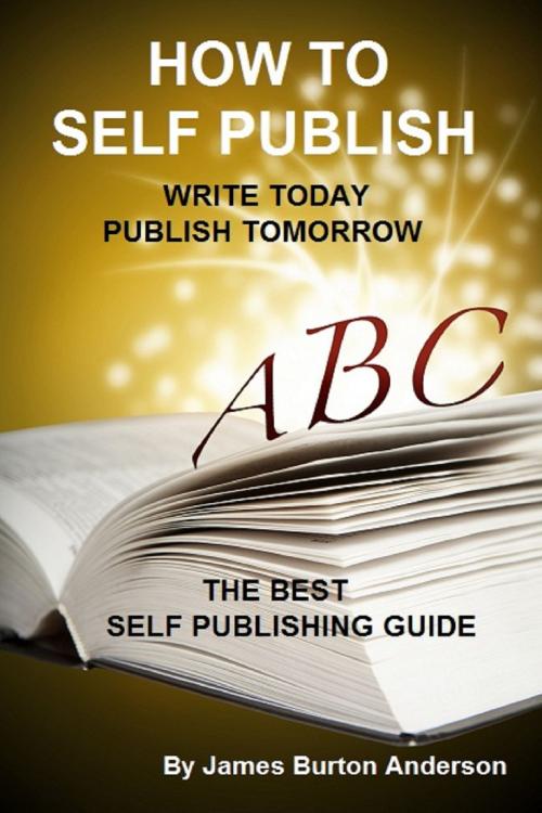 Cover of the book How To Self Publish by James Burton Anderson, James B Anderson