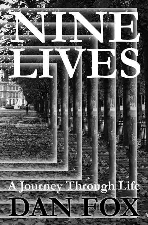 Cover of the book Nine Lives A Journey through Life by Dan Fox, Dolman Scott Publishing