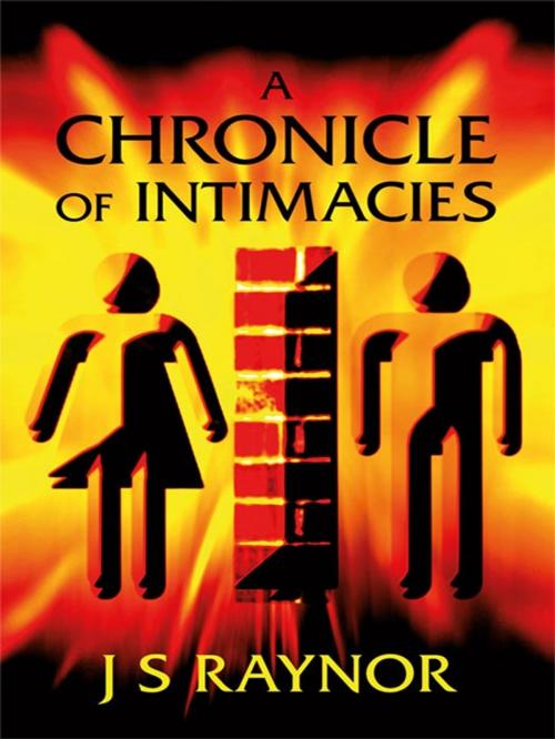 Cover of the book A Chronicle of Intimacies by J.S Raynor, Dolman Scott Publishing