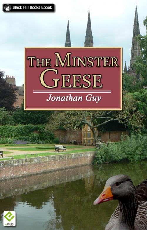 Cover of the book The Minster Geese by Jonathan Guy, Black Hill Books