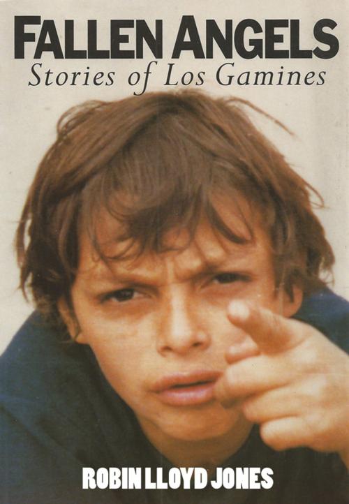 Cover of the book Fallen Angels: Stories of Los Gamines by Robin Lloyd-Jones, eBookPartnership.com
