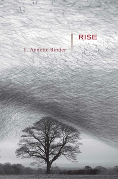 Cover of the book Rise by L. Annette Binder, Sarabande Books
