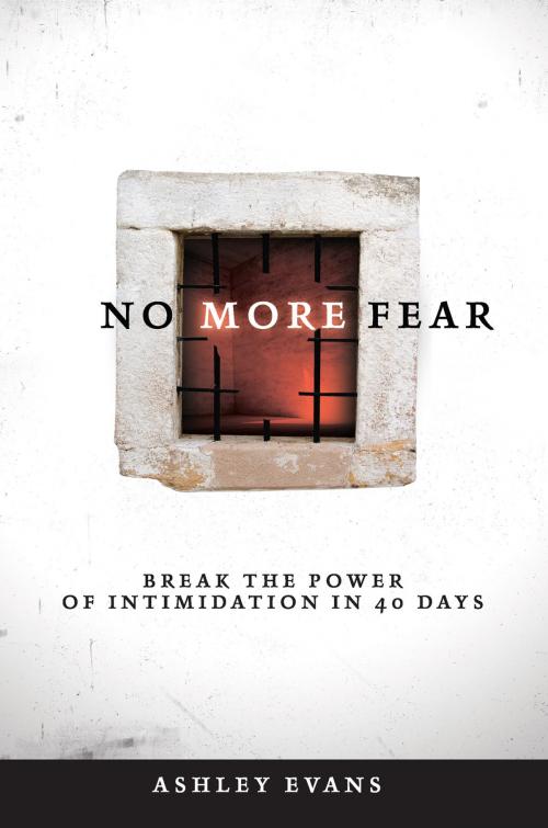 Cover of the book No More Fear by Ashley Evans, Influence Resources