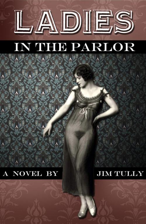 Cover of the book Ladies in the Parlor by Jim Tully, Ring eBooks