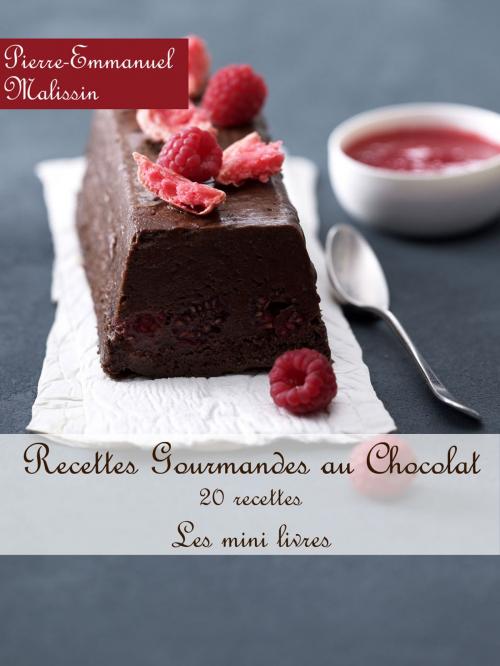 Cover of the book Recettes Gourmandes au chocolat by Pierre-Emmanuel Malissin, Syllabaire éditions