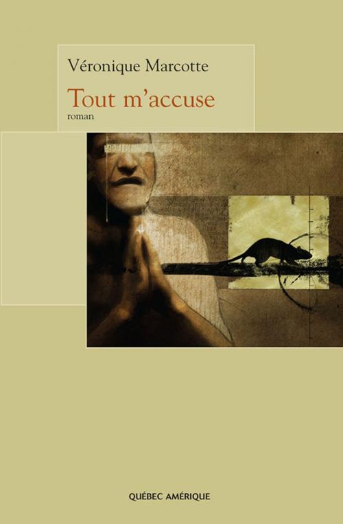 Cover of the book Tout m'accuse by Véronique Marcotte, Québec Amérique
