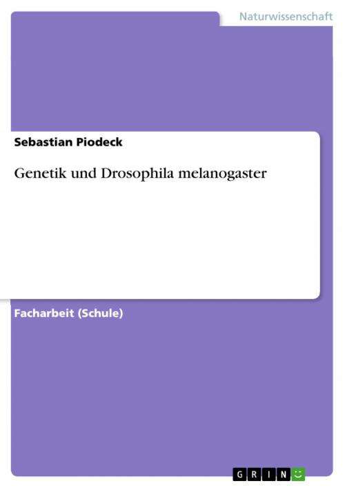 Cover of the book Genetik und Drosophila melanogaster by Sebastian Piodeck, GRIN Verlag