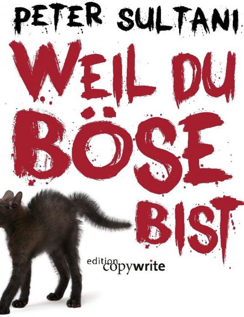 Cover of the book Weil du böse bist by Peter Sultani, epubli GmbH