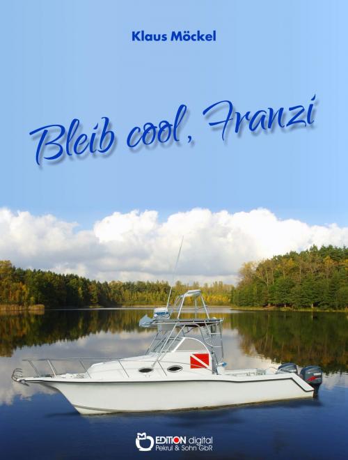 Cover of the book Bleib cool, Franzi by Klaus Möckel, EDITION digital
