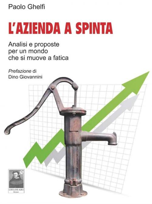 Cover of the book L'Azienda a Spinta by Paolo Ghelfi, Città del Sole Edizioni