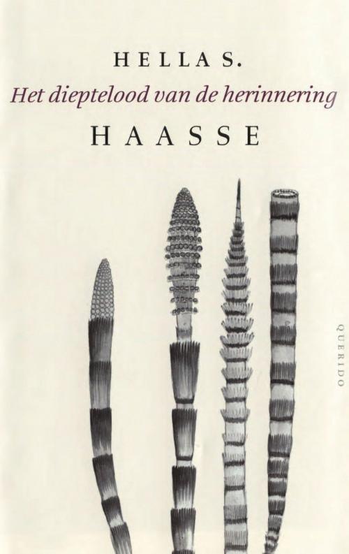 Cover of the book Het dieptelood van de herinnering by Hella S. Haasse, Singel Uitgeverijen