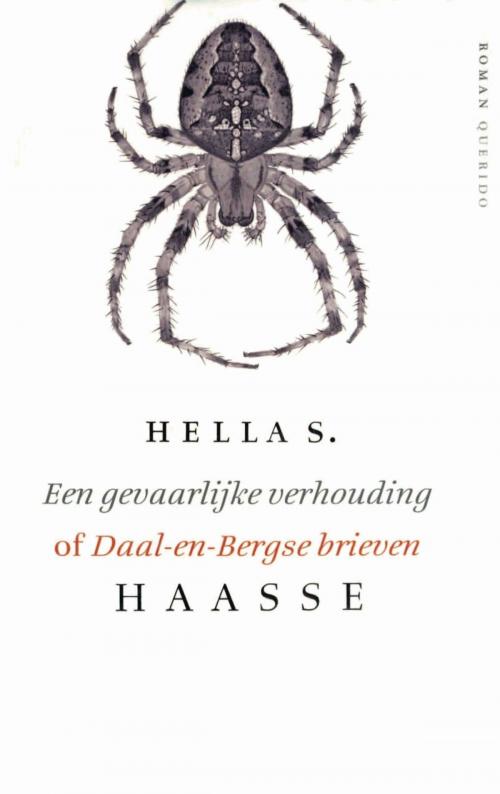 Cover of the book Gevaarlijke verhouding by Hella S. Haasse, Singel Uitgeverijen
