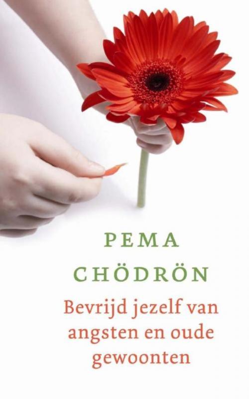 Cover of the book Bevrijd jezelf van angsten en oude gewoonten by Pema Chödrön, VBK Media
