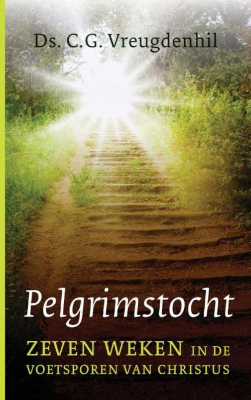 Cover of the book Pelgrimstocht by Cees Vreugdenhil, VBK Media