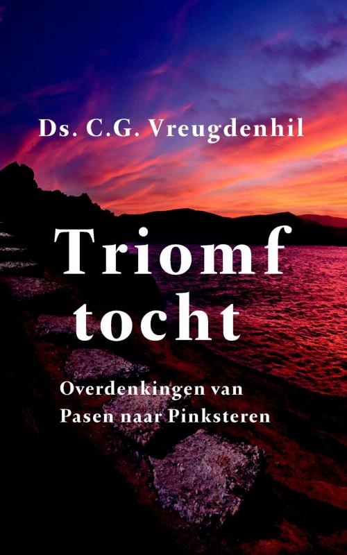 Cover of the book Triomftocht by C.G. Vreugdenhil, VBK Media