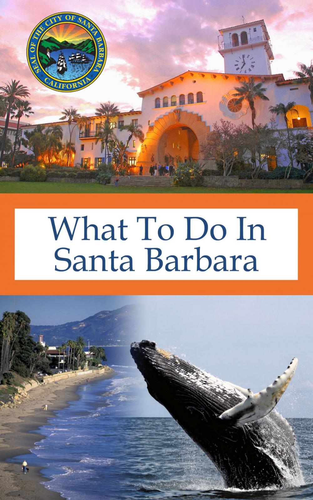 Big bigCover of What To Do In Santa Barbara