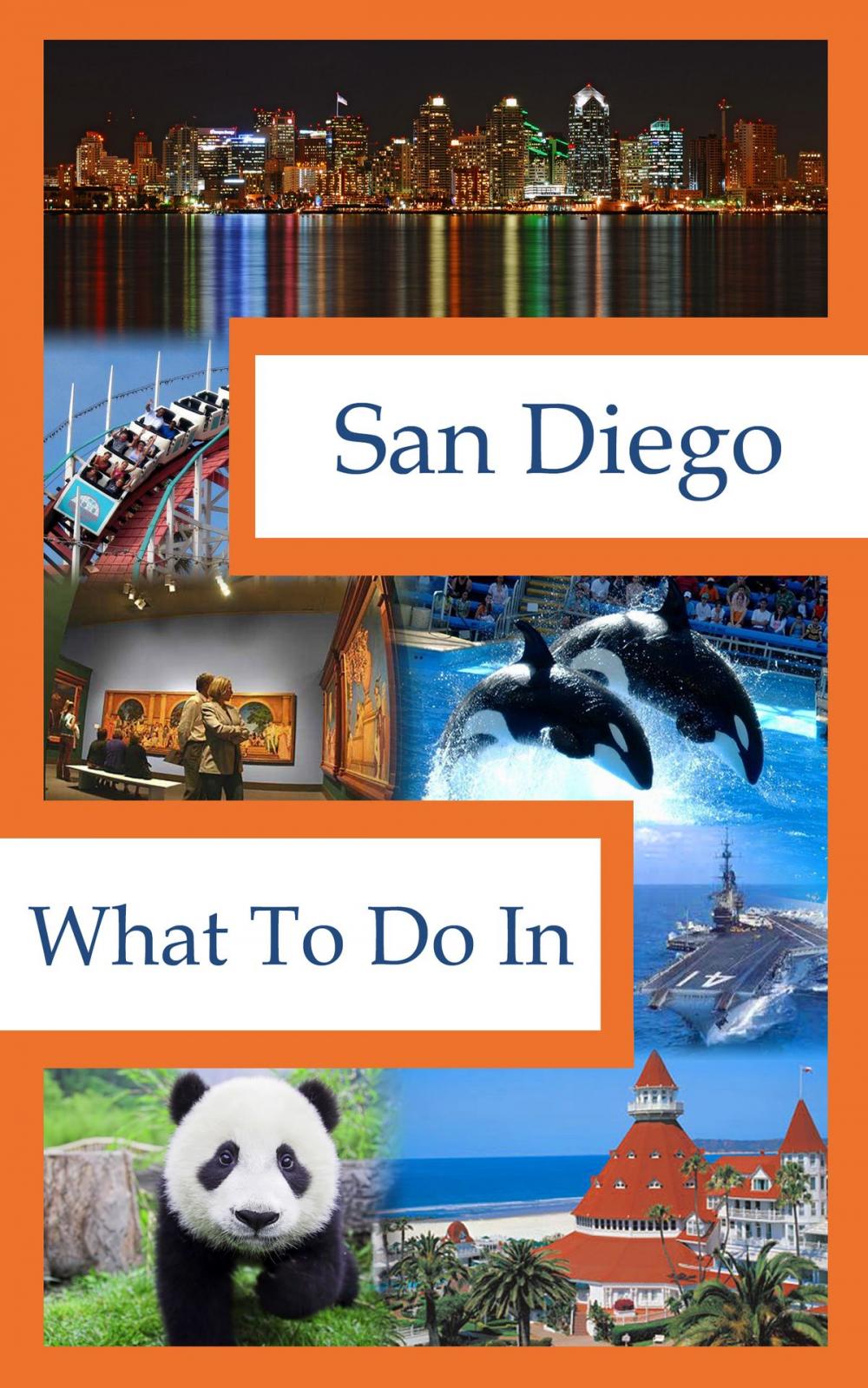 Big bigCover of What To Do In San Diego