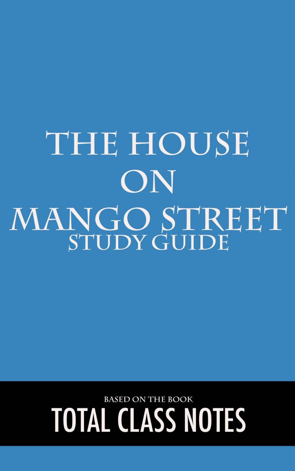 Big bigCover of The House on Mango Street: Study Guide