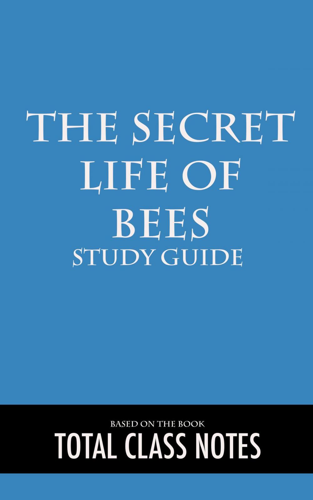 Big bigCover of The Secret Life of Bees: Study Guide