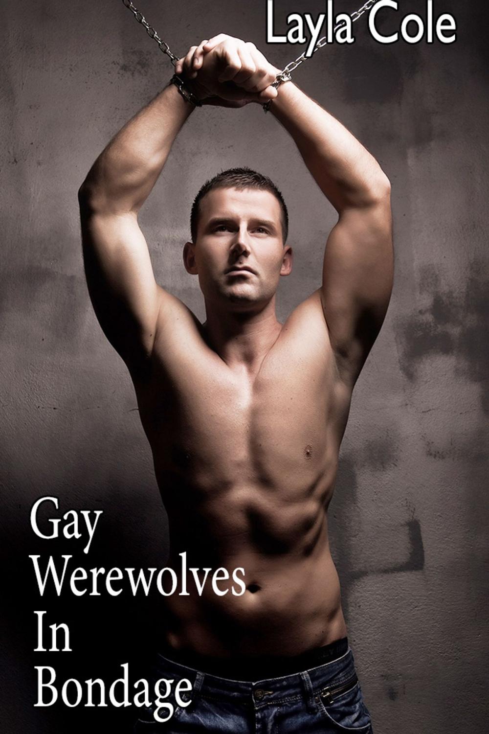 Big bigCover of Gay Werewolves in Bondage
